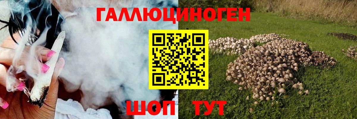 Галлюциногенные грибы мицелий Вольск