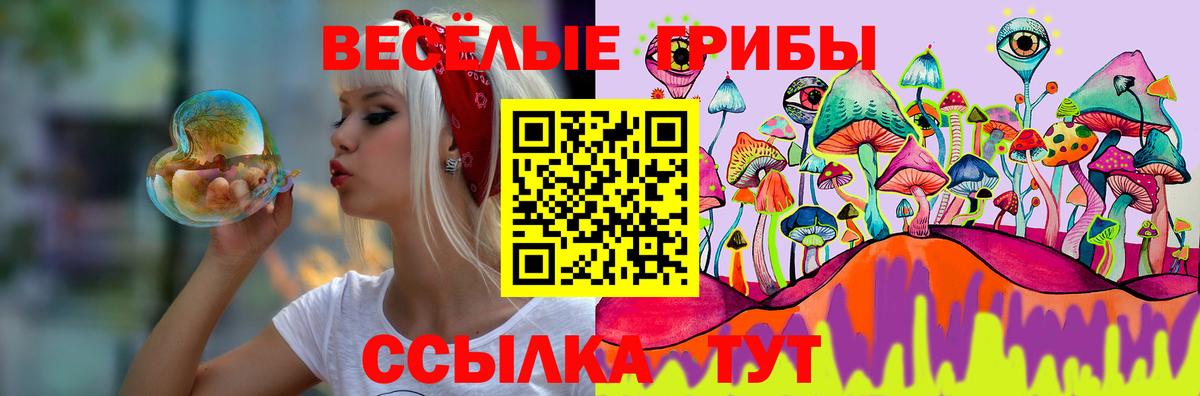 Вольск  Галлюциногенные грибы MAGIC MUSHROOMS  Псилоцибиновые грибы GOLDEN TEACHER  Вход с VPN 